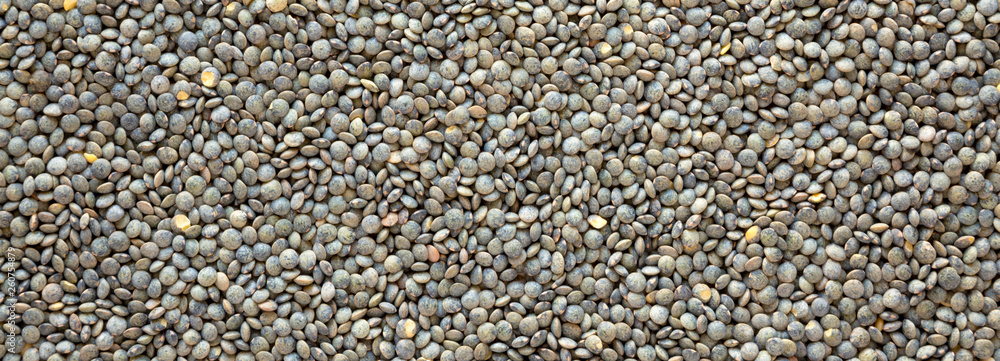 Dry green french lentils texture, top view. Closeup. Dry green french lentils texture, top view. Closeup.