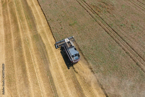 Harvesting wheat harvester