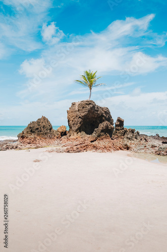View of Praia de Tambaba beach, Costa do Conde. Famous beach by the coconut tree that grew on top of a rock. Beautiful Brazilian northeast beach. Conde PB, brazil.