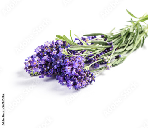 Lavender flowers bunch white background