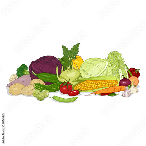 Vector Cartoon Color Set of Vegetables in Big Pile