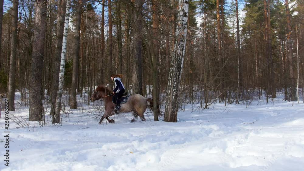 Snowy forest at spring. A woman in white jacket riding a horse Snowy forest at spring. A woman in white jacket riding a horse