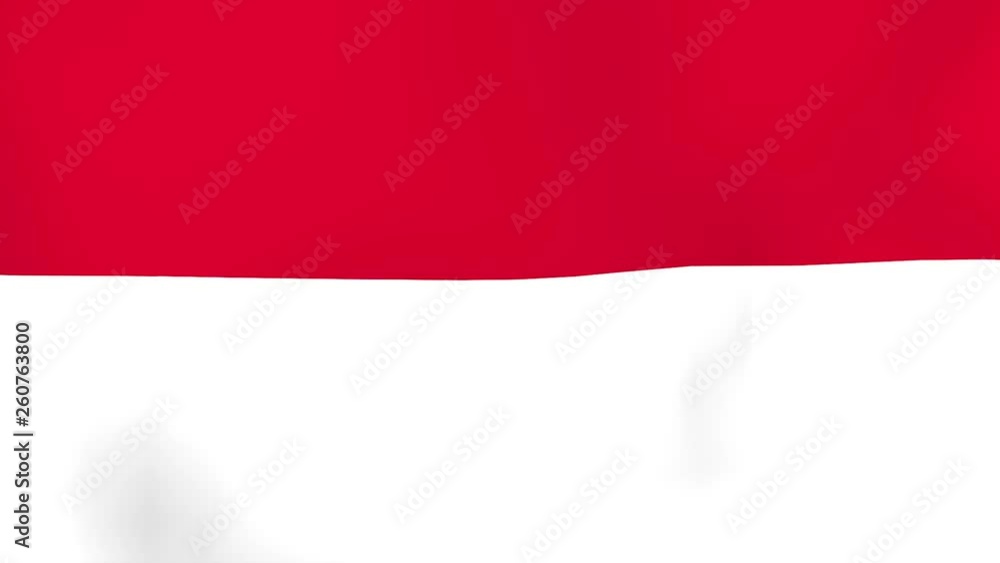 Monaco flag waving Monaco flag waving