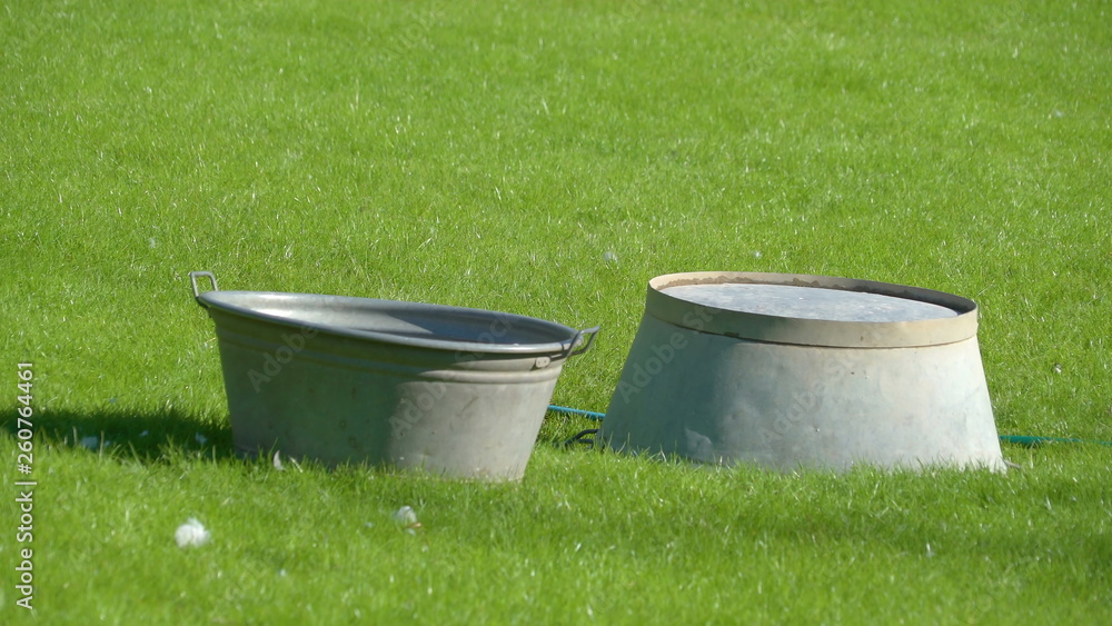 13782_Two_basin_in_the_middle_of_the_green_grass.jpg 13782_Two_basin_in_the_middle_of_the_green_grass.jpg