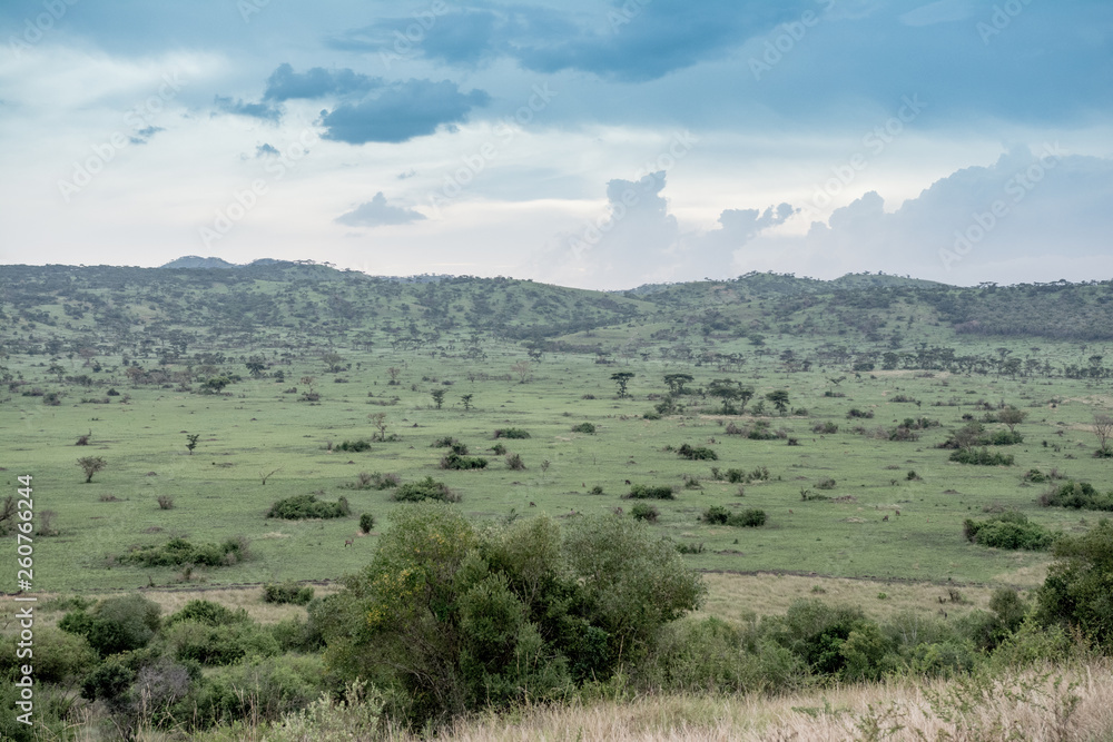 Landscape in Uganda in Queens Elizabeth National Park Landscape in Uganda in Queens Elizabeth National Park