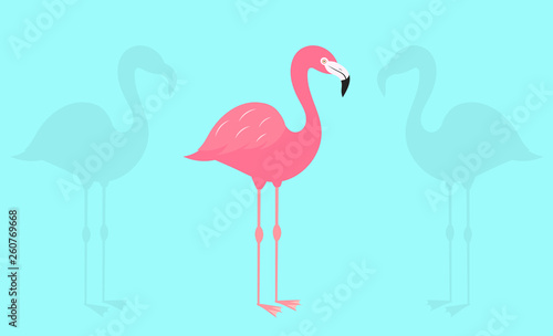 Flamingo on blue background.