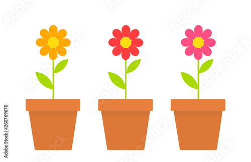 Wallpaper Mural Spring daisy flowers in pots. Torontodigital.ca