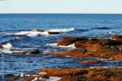 A Beatiful Rocky Shore Line in Maine, USA