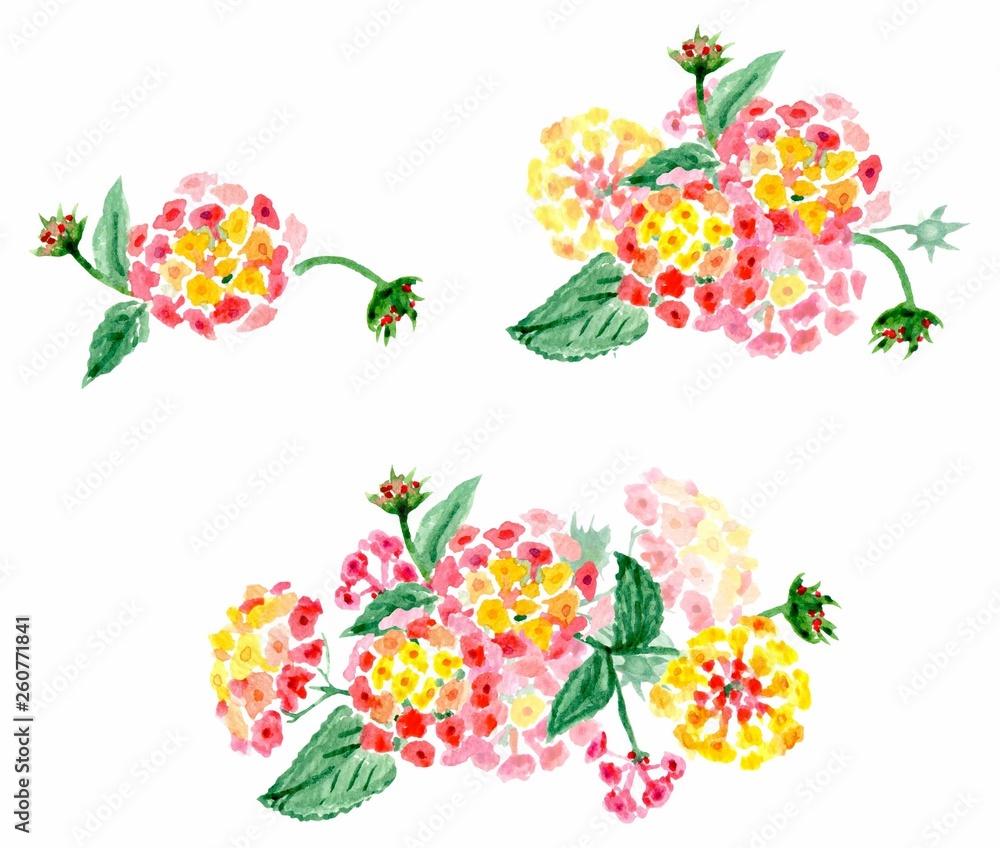 Watercolor set of three delicate bouquets of pink, yellow and red flowers of different size on a white background. Illustration.
