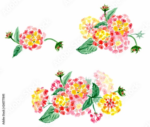 Fototapeta Naklejka Na Ścianę i Meble -  Watercolor set of three delicate bouquets of pink, yellow and red flowers of different size on a white background. Illustration.