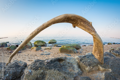 Wooden arch looks like a portal. Shore of the Baltic sea
