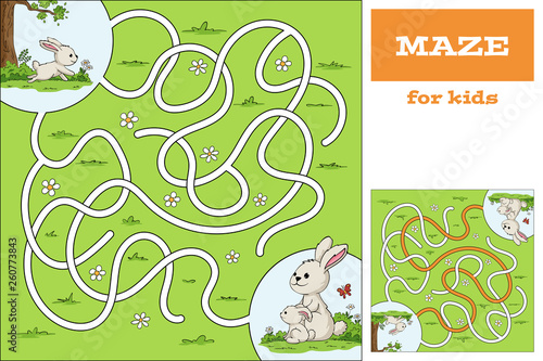 Funny cartoon game for kids. With solution. Vector illustration with separate layers.
