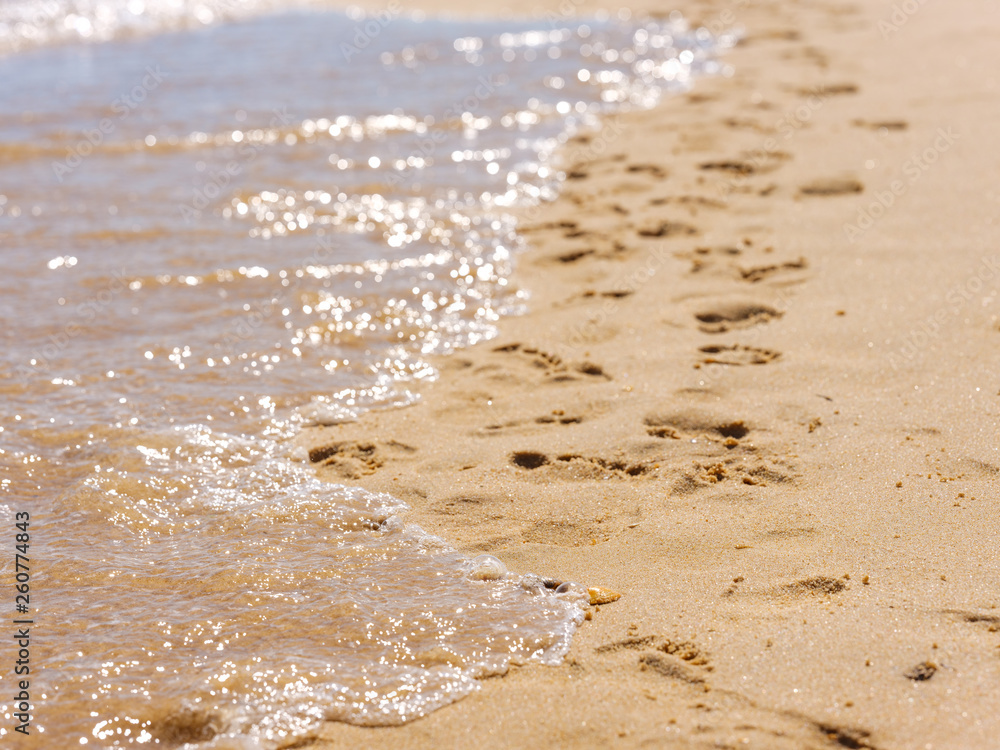 Footprints in the sand at the sea Footprints in the sand at the sea