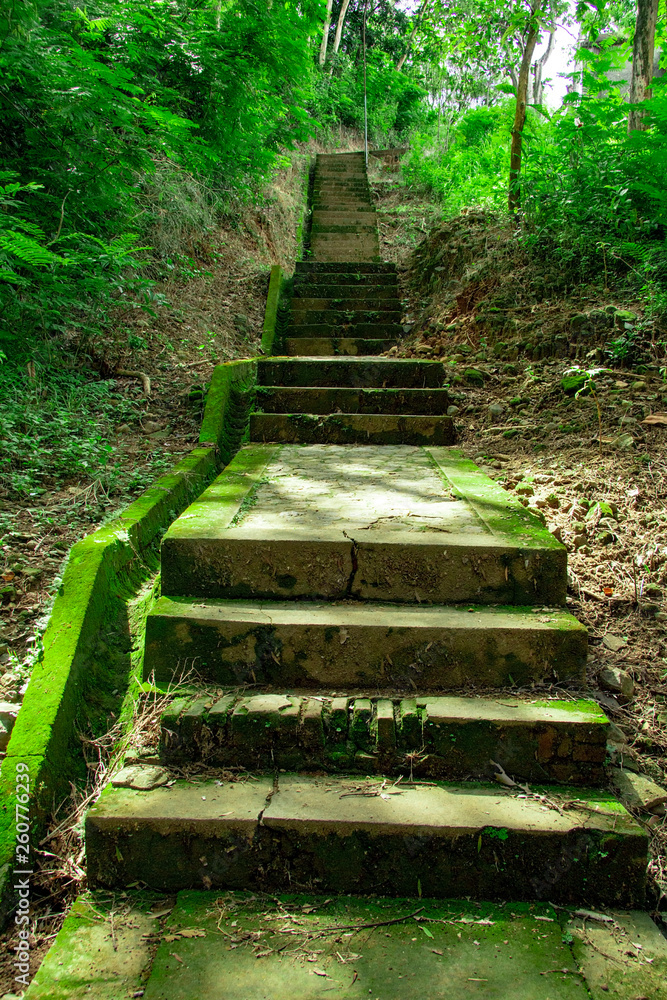 stairs in Tomb of the Imogiri Kings on yogyakarta. old stairs on jungle covered by moss