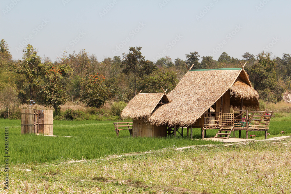 Cottage on the rice field in Huai Tueng Thao, Chiangmai, Northern Thailand.