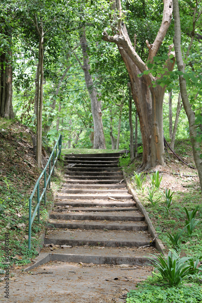 Old concrete stair in the park.