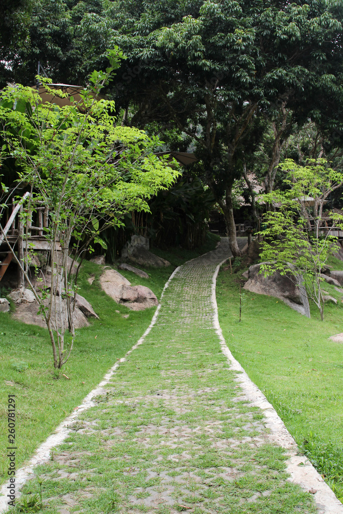 The cement block walk path in the park with green grass.