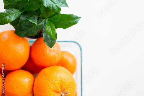 Obraz na plátne Orange Tangerine Fruit
