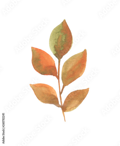 watercolor illustration of a twig with leaves in autumn