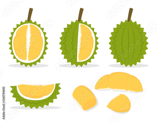 Set of durian isolated on white background - Vector illustration