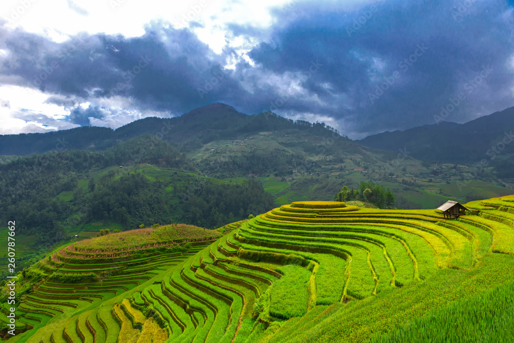 Rice fields on terraced of Mu Cang Chai, YenBai, agriculture Vietnam, Landscape and Landmark
