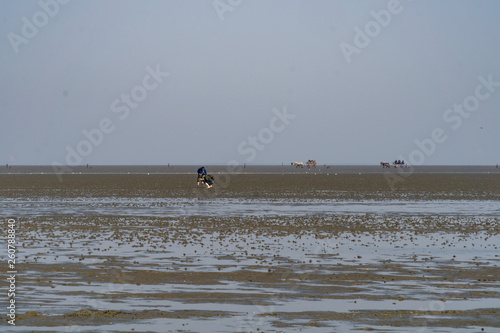 Wattenmeer bei Ebbe mit Wattwagen und Wanderern