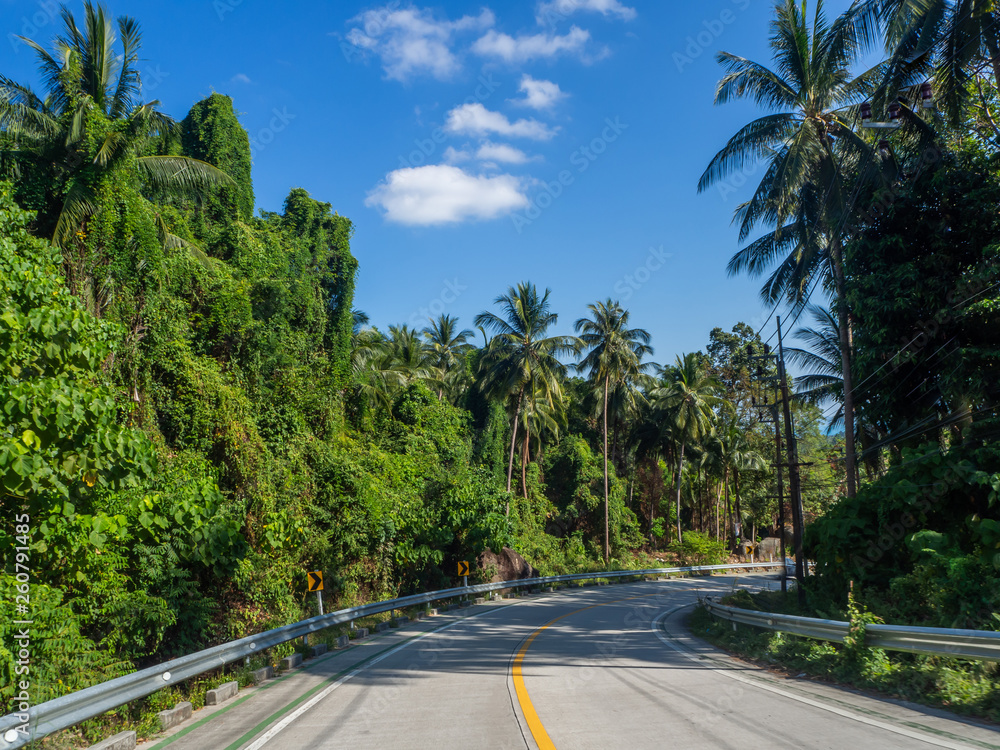 Shadows from palm trees on the road of the island of Phangan. Thailand. Shadows from palm trees on the road of the island of Phangan. Thailand.