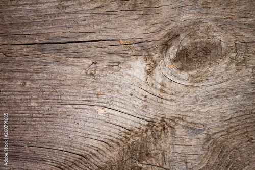 Wooden texture for background, universal design for background in rustic eco style