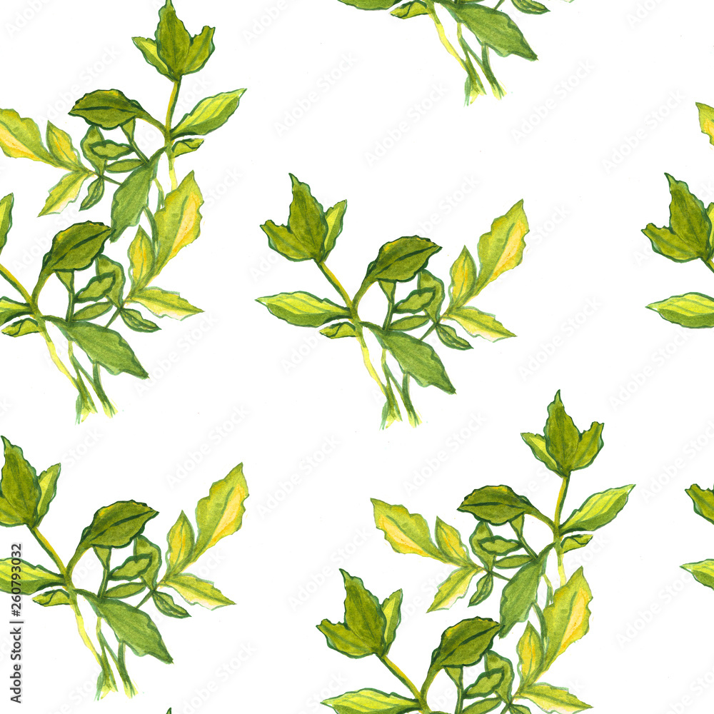 Seamless watercolor pattern with green leaves. Botanical texture. Floral elements.