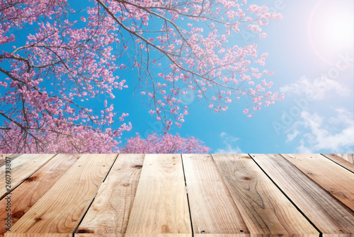 Wooden brown needles for use and a natural backdrop cherry blossom pink. The beauty of nature The area for doing work.