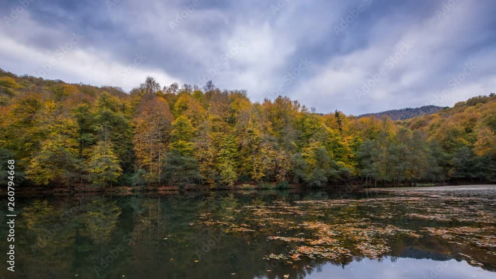 Lovely Autumn Time Lapse Video with Lake and Forest Lovely Autumn Time Lapse Video with Lake and Forest