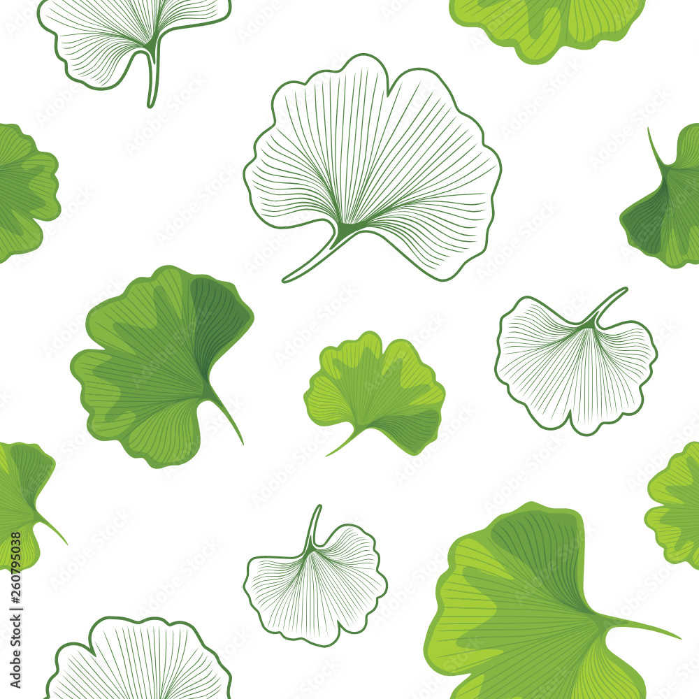 Ginkgo biloba leaves green and outlined. Seamless pattern for design Ginkgo biloba leaves green and outlined. Seamless pattern for design