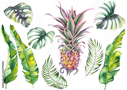 Tropical set with a pink pineapple, banana leaves and monstera leaves. Watercolor on white background. Isolated elements for design.