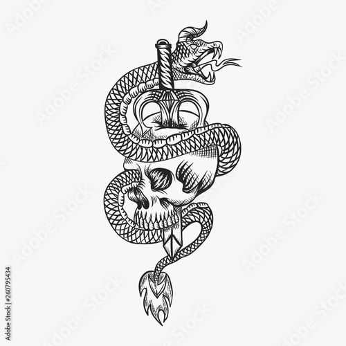 skull snake evil vector illustration