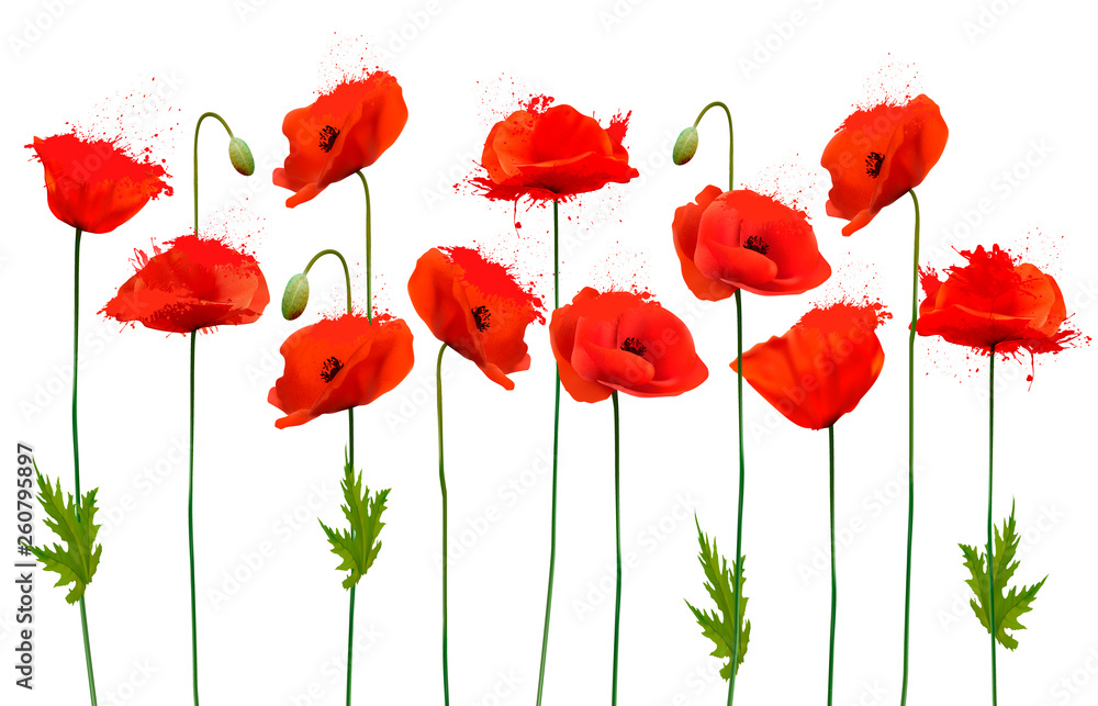 Obraz premium Beautiful nature poppy background. Vector.