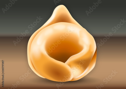 Tortellino from Emilia Romagna, italian traditional pasta food, Italy, vector illustration