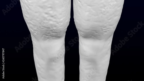 3d woman's legs gain weight and lose weight. Loopable. Luma matte. 3D rendering.