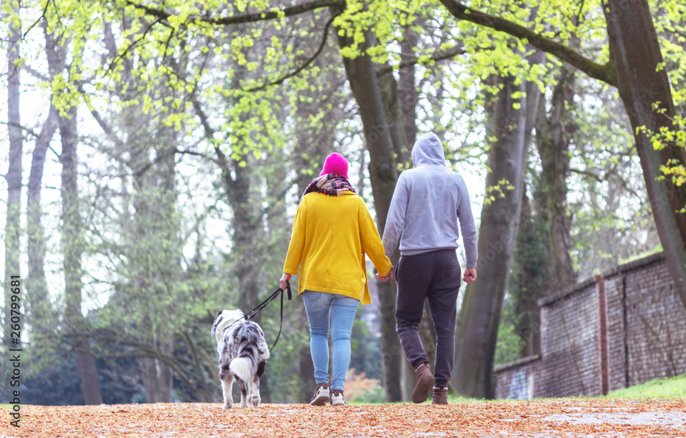 Fototapeta premium Couple in love walking a dog in the park, holding hands. View from the back.