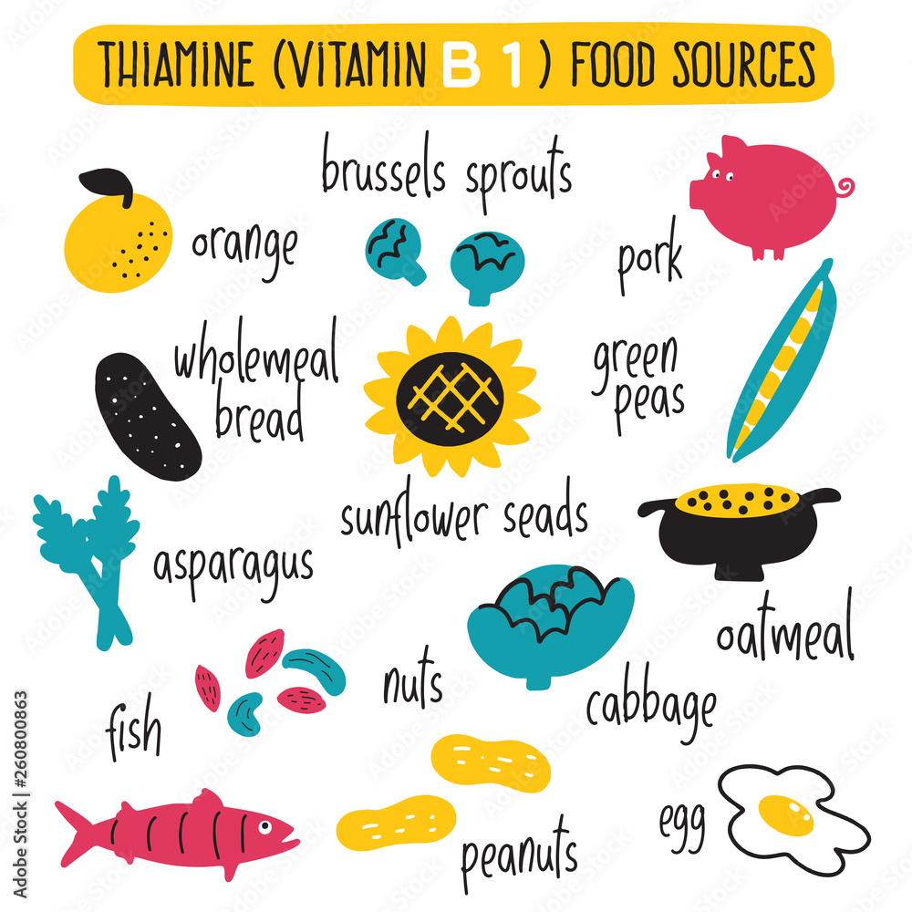 Vitamin B 1 food sources, thiamine. Vector cartoon illustration. Stock