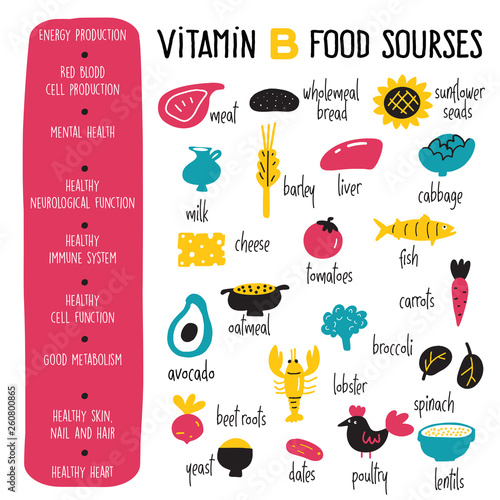 Vitamin B complex. Vector Cartoon infographics poster with illustration of food sources. photo