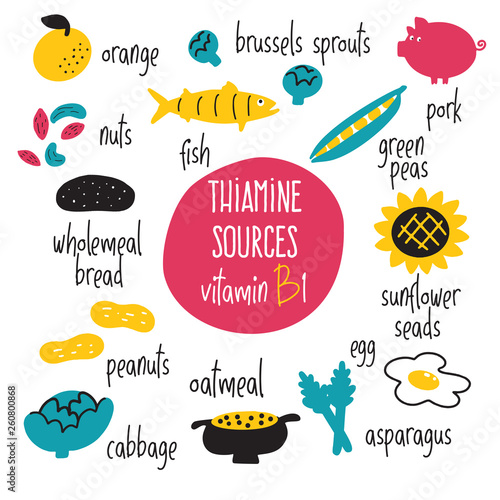 Vitamin B 1 food sources, thiamine. Vector cartoon illustration. Health eating concept.