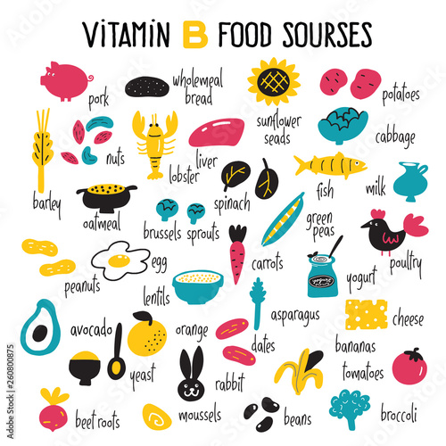 Vitamin B complex food sources. Vector cartoon illustration.