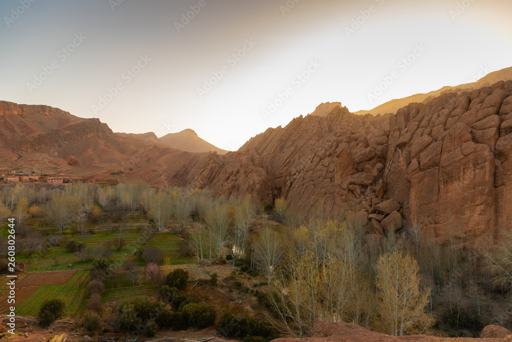 Monkey fingers rock formations in Dades Valley, Morocco, during sunrise