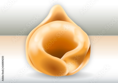 Tortellino from Emilia Romagna, italian traditional pasta food, Italy, vector illustration