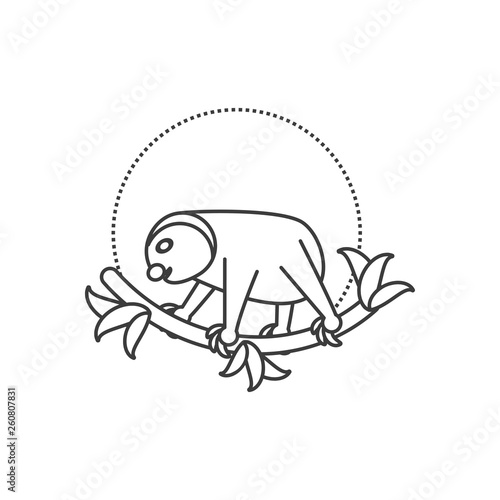 sloth animal isolated icon