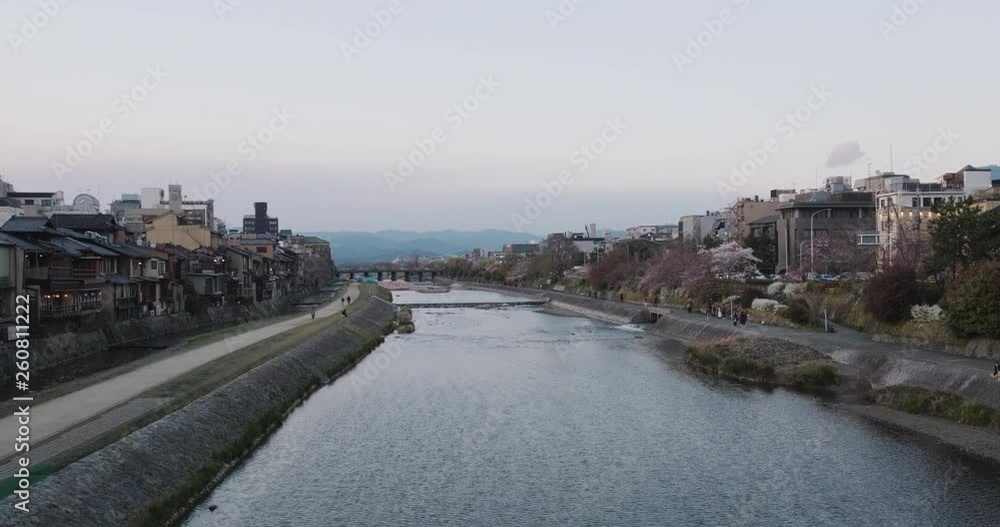 KYOTO, JAPAN, Cherry blossom bloom and pan of Kamo river valley at sunset, People enjoy the spring season and sakura, ProRes 4k DCI KYOTO, JAPAN, Cherry blossom bloom and pan of Kamo river valley at sunset, People enjoy the spring season and sakura, ProRes 4k DCI