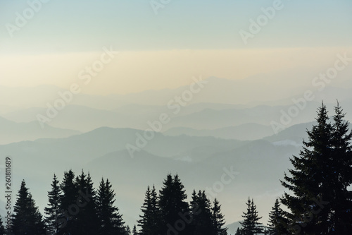 Fototapeta Naklejka Na Ścianę i Meble -  A trees with a beautiful mountain fog. Bulgaria, Pamporovo