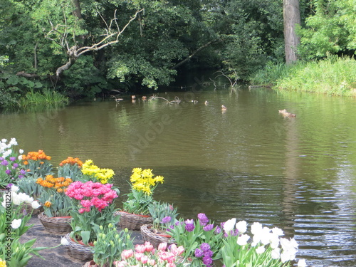 flowers and lake in the garden