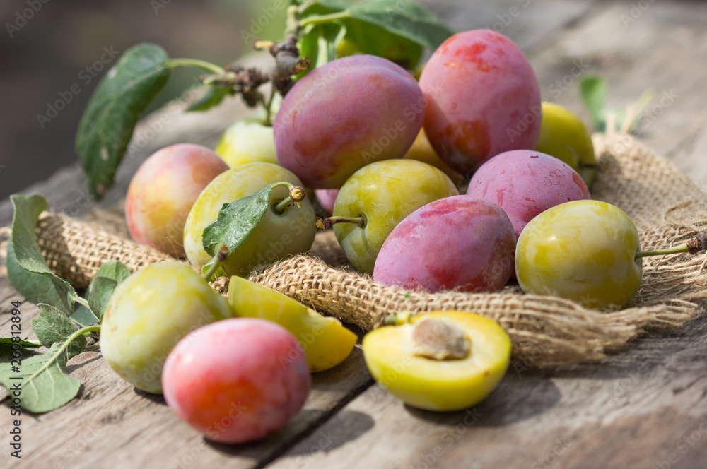 Plum harvest. Plums in the basket on the wooden old table Plum harvest. Plums in the basket on the wooden old table