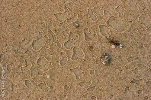drops on sand